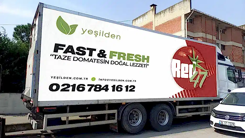 Bakı Kurumsal Kimlik Tasarımı Referansı - Yeşilden