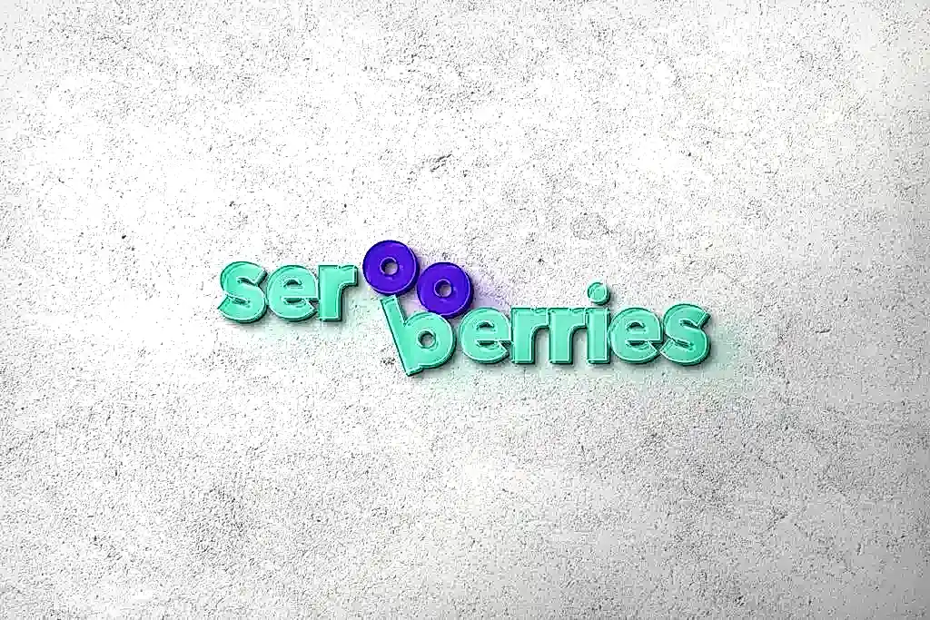 Bakı Kurumsal Kimlik Tasarımı Referansı - Ser Berries